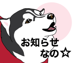 A Husky sticker 2. sticker #12927938