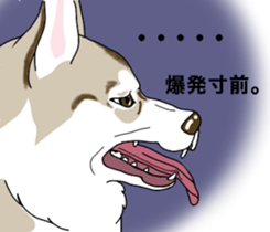 A Husky sticker 2. sticker #12927947