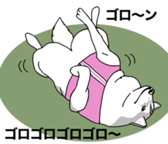 A Husky sticker 2. sticker #12927948