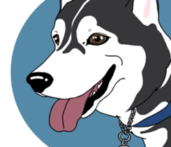 A Husky sticker 2. sticker #12927949