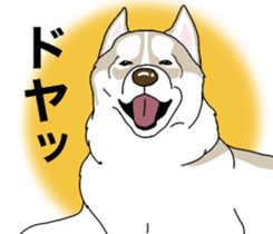 A Husky sticker 2. sticker #12927951