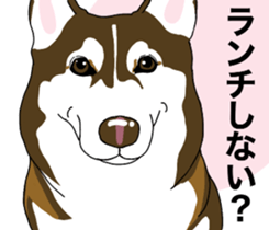 A Husky sticker 2. sticker #12927952