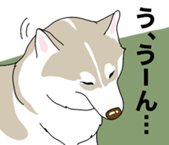 A Husky sticker 2. sticker #12927953