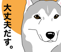 A Husky sticker 2. sticker #12927954
