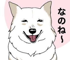 A Husky sticker 2. sticker #12927955