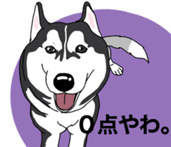 A Husky sticker 2. sticker #12927956