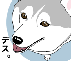 A Husky sticker 2. sticker #12927957