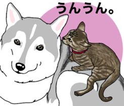 A Husky sticker 2. sticker #12927958