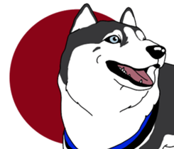 A Husky sticker 2. sticker #12927960