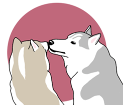 A Husky sticker 2. sticker #12927965