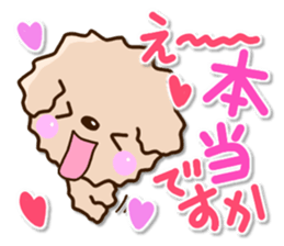 Friendly toy poodle sticker #12929699