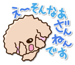 Friendly toy poodle sticker #12929701
