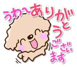 Friendly toy poodle sticker #12929704