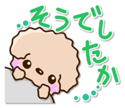 Friendly toy poodle sticker #12929708