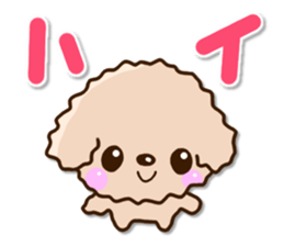 Friendly toy poodle sticker #12929712