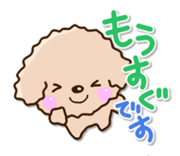 Friendly toy poodle sticker #12929717