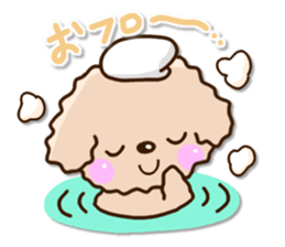 Friendly toy poodle sticker #12929728