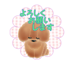 TOY POODLE TOY POODLE V2 sticker #12929816