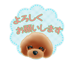 TOY POODLE TOY POODLE V2 sticker #12929817