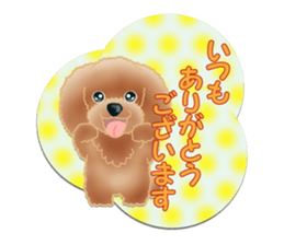 TOY POODLE TOY POODLE V2 sticker #12929819