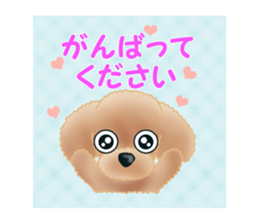 TOY POODLE TOY POODLE V2 sticker #12929841