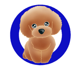TOY POODLE TOY POODLE V2 sticker #12929842
