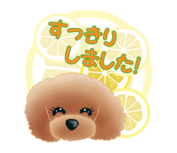 TOY POODLE TOY POODLE V2 sticker #12929847