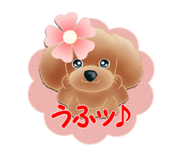 TOY POODLE TOY POODLE V2 sticker #12929848