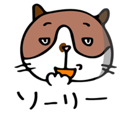 THE CAT - blood group is B sticker #12930416