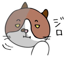 THE CAT - blood group is B sticker #12930421