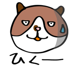 THE CAT - blood group is B sticker #12930425