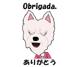 Milky(westie) bilingual Brazilian sticker #12930505