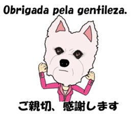 Milky(westie) bilingual Brazilian sticker #12930506