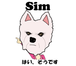 Milky(westie) bilingual Brazilian sticker #12930511