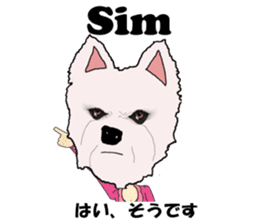 Milky(westie) bilingual Brazilian sticker #12930511