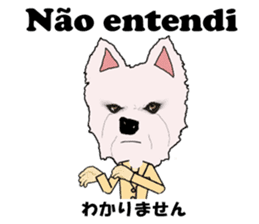 Milky(westie) bilingual Brazilian sticker #12930515