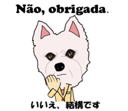 Milky(westie) bilingual Brazilian sticker #12930520