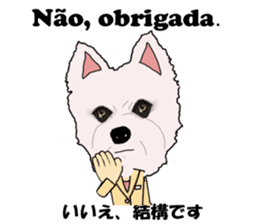 Milky(westie) bilingual Brazilian sticker #12930520