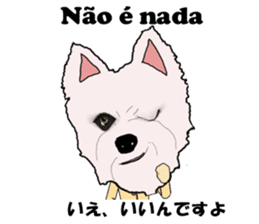 Milky(westie) bilingual Brazilian sticker #12930526