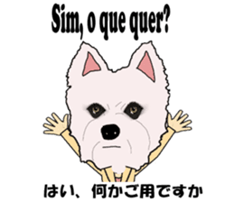 Milky(westie) bilingual Brazilian sticker #12930529