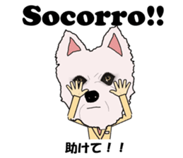 Milky(westie) bilingual Brazilian sticker #12930530