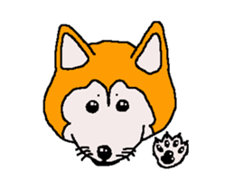 Shiba inu MOMO chan the third as well 32 sticker #12932798