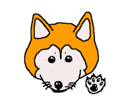 Shiba inu MOMO chan the third as well 32 sticker #12932798