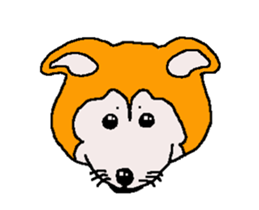 Shiba inu MOMO chan the third as well 32 sticker #12932799