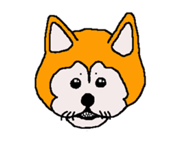Shiba inu MOMO chan the third as well 32 sticker #12932800