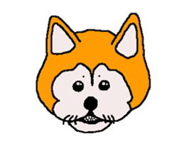 Shiba inu MOMO chan the third as well 32 sticker #12932800