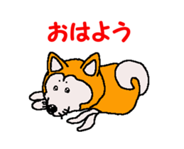 Shiba inu MOMO chan the third as well 32 sticker #12932802
