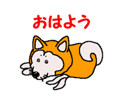 Shiba inu MOMO chan the third as well 32 sticker #12932802