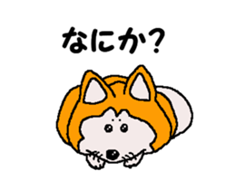 Shiba inu MOMO chan the third as well 32 sticker #12932806