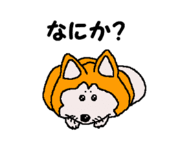 Shiba inu MOMO chan the third as well 32 sticker #12932806